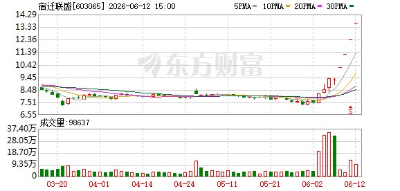 合作方资不抵债 宿迁联盛“追光”现八项重大风险
